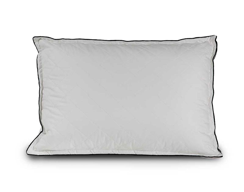 BaleshCamelia1 بالش کاملیا